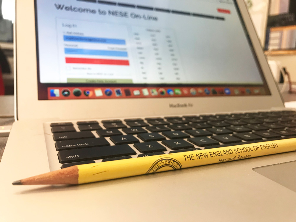 Teaching with NESE On-Line